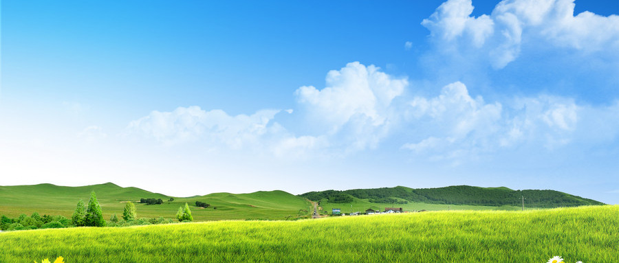 仙居學(xué)辦公軟件與計(jì)算機(jī)軟件開發(fā) 費(fèi)用、路徑與前景解析